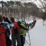 大山道を鳥居乢を目指して