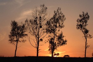 鳩ヶ原の夕日