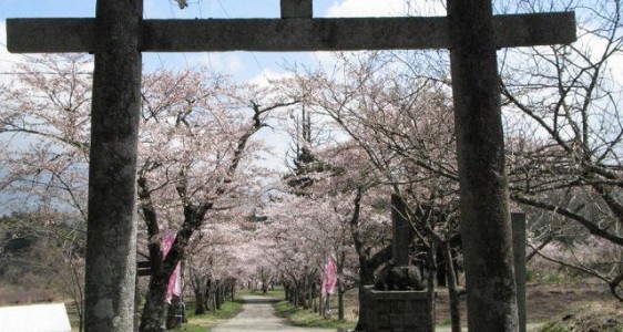 03茅部神社＿春