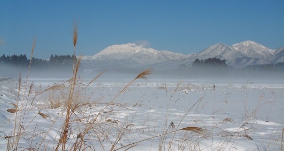 20雪景色