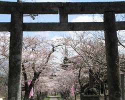 茅部神社