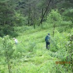 【保全活動】三平山ログハウス周辺草刈り