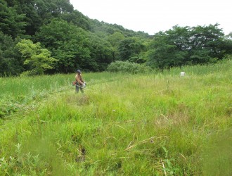 明連湿地：木道が整備しておりスニーカーなら濡れずに一周可能です