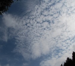 秋の雲巻雲