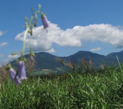 郷原よりの蒜山三座