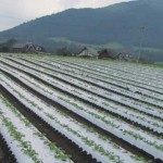 【ひるぜん日記】蒜山の景色をご紹介します