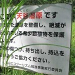 保護活動（天谷湿地植生調査）