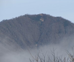 霧の朝の上蒜山