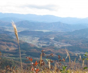 蒜山盆地（三平山中腹より）