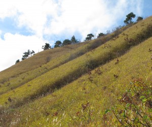 三枚山