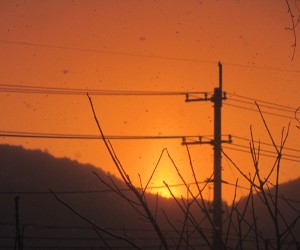 朝日（太陽柱）1月15日