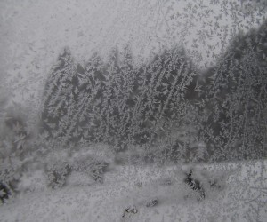 窓の霜