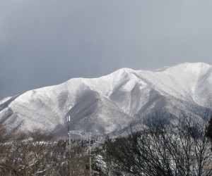 1月20日の上蒜山