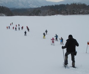 酪大の放牧地をゆく