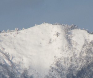 上蒜山山頂