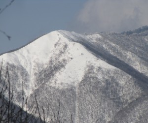 上蒜山8合目付近