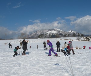 雪原に遊ぶ