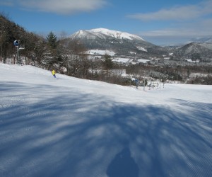 ベアバレースキー場