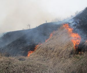 4月１０日　郷原付近　