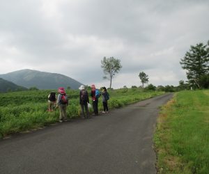 鳩ケ原と三平山