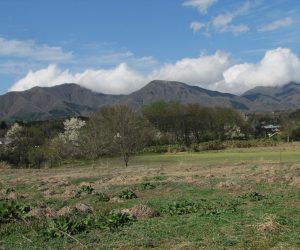 ４月２２日　早春の蒜山三座（茅部野より）