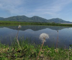 5月13日　蒜山三座　茅部野にて撮影、6月中旬になると稲が育って山がきれいに見えなくなります