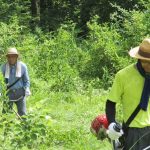 【保全活動】三平山里山保全活動