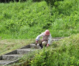 三平山　里山保全活動