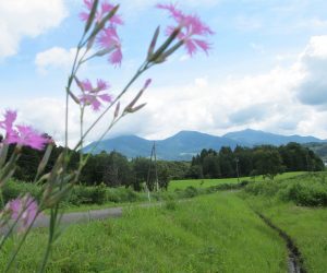 【郷原湿地　蒜山三座】