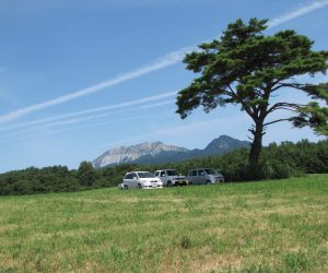 11 日　大山、烏ヶ（鳩ヶ原にて）