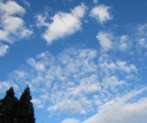 17 日　秋の空