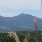 【ひるぜん日記】晩秋の郷原湿地