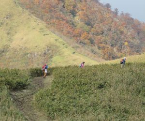 下蒜山雲居平から山頂方向を望む