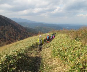 中蒜山から上蒜山への縦走路