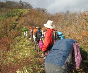 上蒜山山頂近く