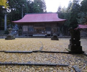 11/12　茅部神社 銀杏の落ち葉