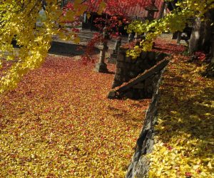 11/17　徳山神社