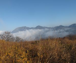 11/22 大山遠望　三平山土塁付近より