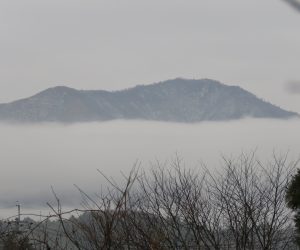 12 /13 雲海に浮かぶ上蒜山  茅部野より　霧ではなく層雲が蒜山の裾野をとりかこんでいました