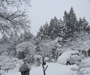 12/16　積雪は20㎝