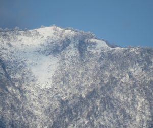 12/17　上蒜山山頂付近  茅部野より