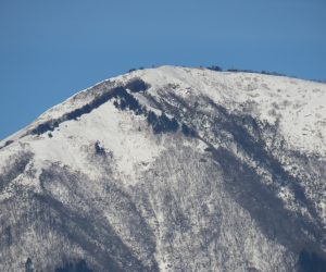 12/18　中蒜山  茅部野より