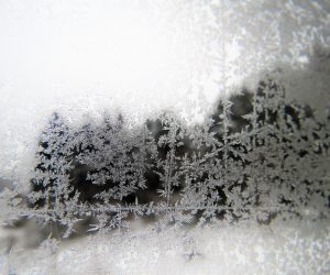 12 /29   窓ガラスの霜  気温がマイナス2~3度くらいまで下がると窓の水滴が凍りこんな模様が出来ます