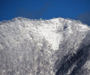 12 /30  上蒜山山頂付近  茅部野より