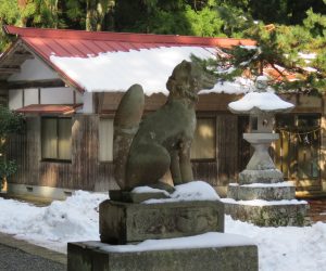 1/1   茅部神社には狛犬ではなくきつねもいます。