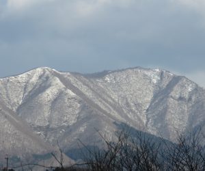 1/4   上蒜山