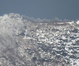 1/5  上蒜山山頂付近　雪はうっすら積もった程度、樹氷が出来ています