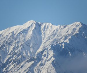 1/6  大山　茅部野より