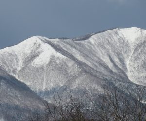 １/16   上蒜山、大分雪が深くなりました