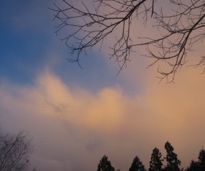 １/16   夕焼け　雪雲の夕焼けは何か怪しい雰囲気
